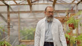 Medium dolly shot of bearded senior biologist in eyeglasses and white coat walking down floral garden greenhouse and examining plants, passing by his young female colleague - Powered by Shutterstock - Get 15% off with code: PIKWIZARD15