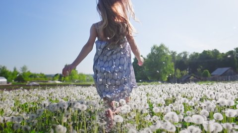 Woman runs. Young happy woman runs in the summer filed with dandelions