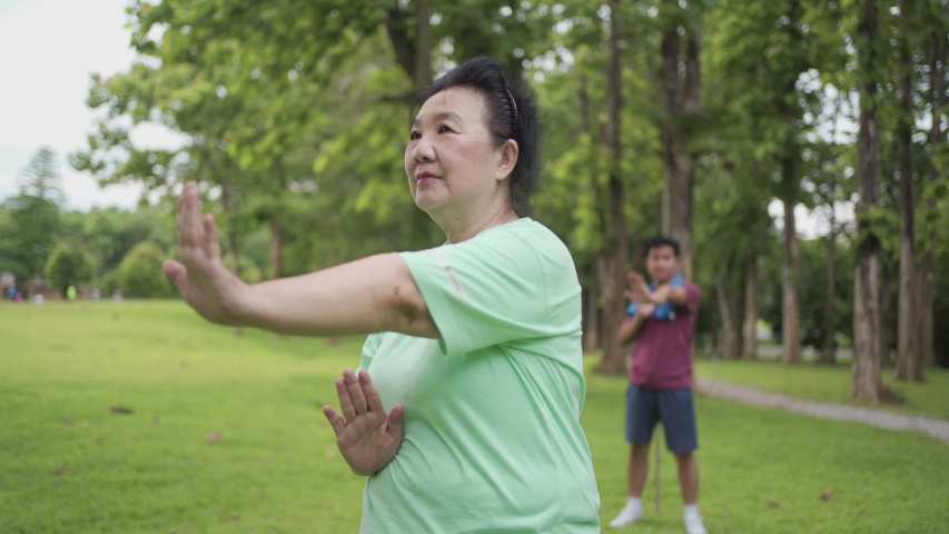 Asian middle age female practicing tai chi Chinese martial arts exercise at the green park with partner on Background, life after retired, slow movement, deep breath relax calm peaceful environment Royalty-Free Stock Footage #1056842249
