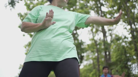 Asian obese old woman doing tai chi Chuan asian martial arts dance exercise at the park with partner on Background, wellness well being retired life, slow movement relax calm peaceful environment