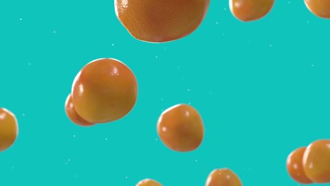 Grapefruits Falling Down with Water Drops in Super Slow Motion on Solid Blue Background. Endless Seamless Loop 3D Animation
