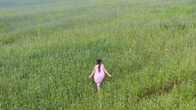 Aerial view video Happy Little Girl in Dress and Wreath Runs and Has Fun in the Rye Field with Blooming Cornflowers. Enjoying Nature Concept. Happy Childhood