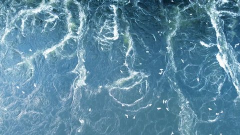 A powerful whirlpool is generated at the surface of water on the river Dnieper by the action of a turbine of the hydro power station. seagulls circling above the whirlpool of water