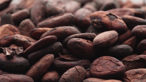 Cocoa beans. Macro, cocoa beans coming in slow motion the camera.