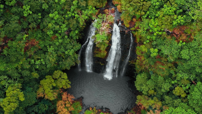 Drone moves away from a mountain waterfall in an autumn forest (Opaekaa Falls, Kauai, Hawaii, USA) Royalty-Free Stock Footage #1056882551