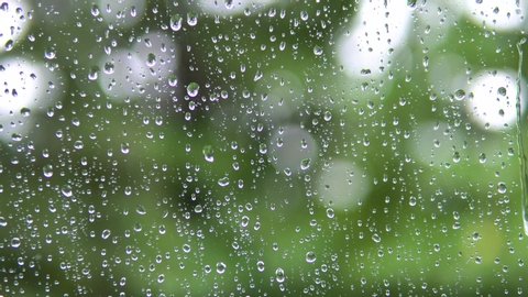 Raindrops run down the glass of the window.View from the window to green trees.: stockvideo