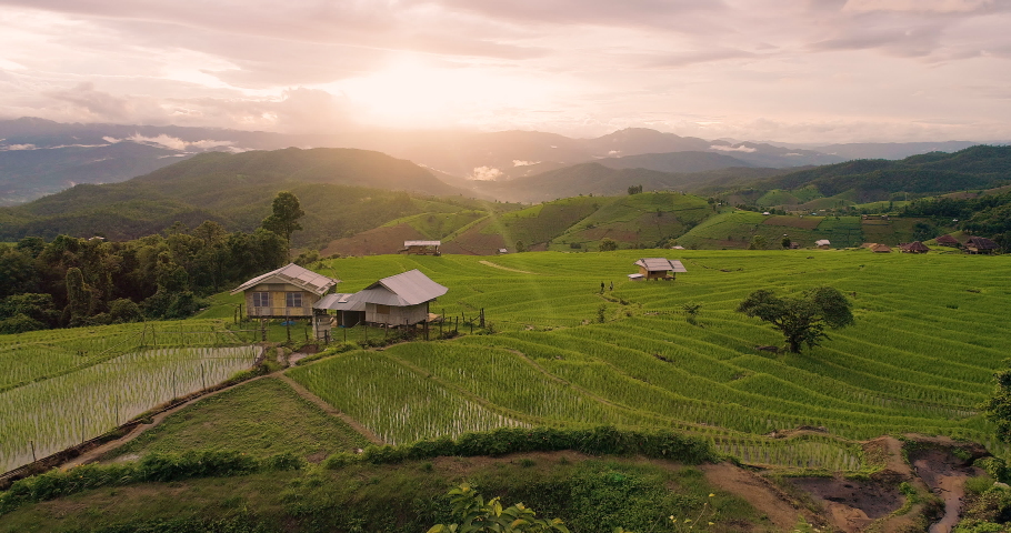 Aerial view of view  sunset at Terraced Rice Field in Ban Pa Pong Piang , Mae Chaem District, Chiang Mai Province , Thailand. 4k drone footage Terraced Rice Field at sunset with clouds rain