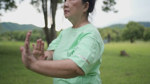 Asian old woman doing tai chi martial arts dance exercise alone at the park, wellness well being, retired life, slow and balancing movement relax calm peaceful, feeling environment surrounding 