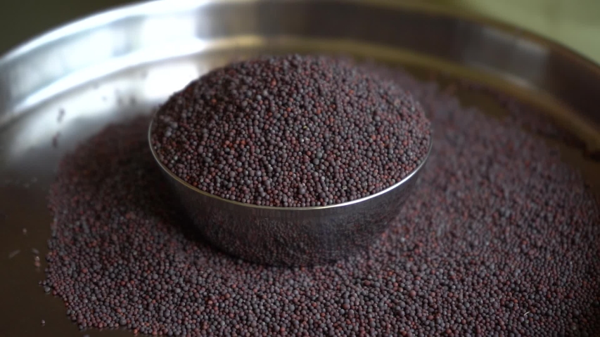 Close up of mustard seeds/Rai or brown mustard seeds.