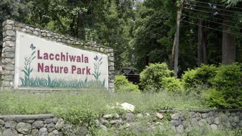 Dehradun, Uttarakhand/India- July 27 2020: Lacchiwala nature park, a famous picnic spot in Dehraduin Uttarakhand. Apple prores 422 4k.
