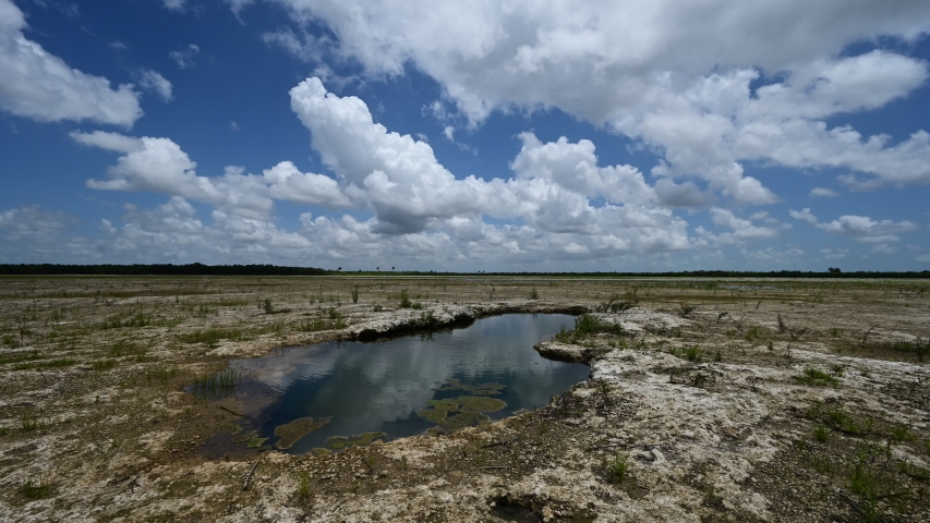 Timelapse of summer clouds over solution hole in Hole-In-The-Donut restoration project area in Everglades National Park, Florida 4K.