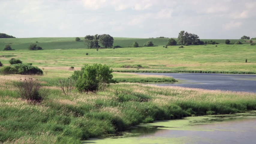 Grass Filled Prairie with a Pond on a Beautiful Summer Day