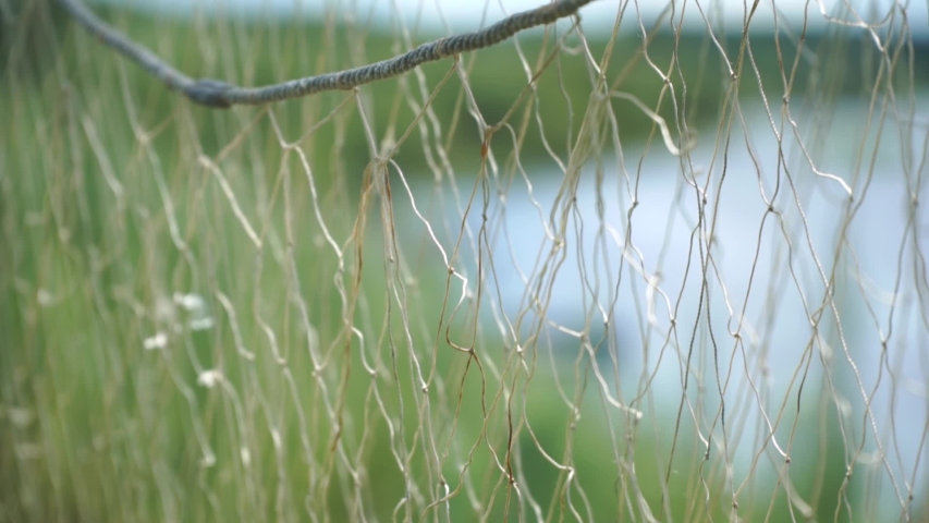 Dry net. Dry net
