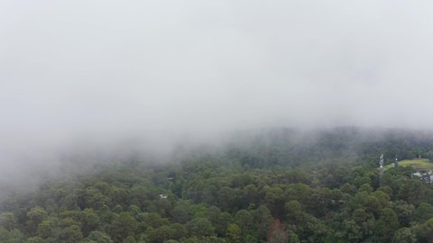 Panoramic view of a small lagoon surrounded by vegetation on a foggy day