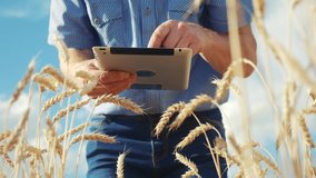 old senior man farmer with digital tablet working in field smart farm in a field with wheat. agriculture concept. working in field harvesting crop. old senior farmer is engaged in farm agriculture - Powered by Shutterstock - Get 15% off with code: PIKWIZARD15