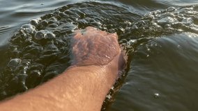 human hand touching water, close up first person video
