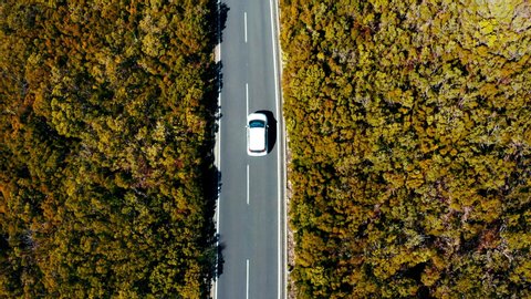 4K Aerial drone footage of small white family hatchback moving through picturesque landscape. Succulent green and yellow forests on both sides of road. Travelling, car rental, insurance concept.