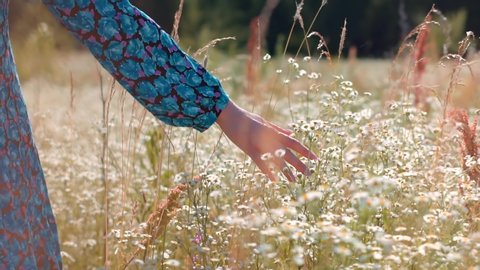 Girl Relax On Holidays Morning Vacation. Happy Woman Walking Summer Field.Hand Touch Wild Grass.Enjoying Nature At Holidays Weekend Adventure. Touches Flowers On Nature.Girl On Meadow.Leisure Vacation