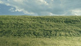 In the general shot, a girl walks on the grass and whirls from edge of frame to edge of frame against the backdrop of a green hill with a blue sky. High quality 4k video