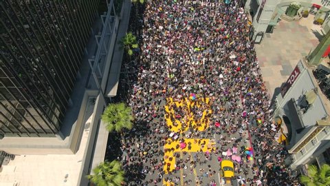 Los Angeles , CA / United States - 06 13 2020: Black Lives Matter protest during pride month