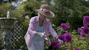 Patience and perfection. Trimming the flowers in a splendid garden. Retired senior woman gardening. Shot in 4k.  - Powered by Shutterstock - Get 15% off with code: PIKWIZARD15