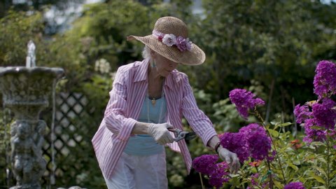 Patience and perfection. Trimming the flowers in a splendid garden. Retired senior woman gardening. Shot in 4k. 