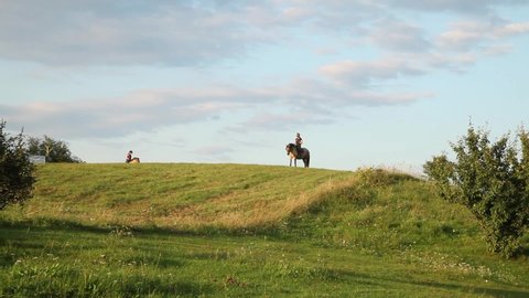 Rider on a horse standing on the top of the hill in the summer
