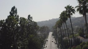 Aerial, drone footage of tall palm trees along the street in West Hollywood in California