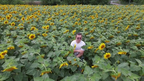 Young hipster boy in sunglasses is pushing through tall thicket of bright sunflowers in field, looking for something or fleeing from pursuit. Camera quickly moves away and rises above ground