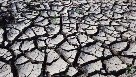 Deep large cracks on dehydrated soil surface. Slow motion. Gray dry cracked earth. Desert. Close-up. Bright direct lightning light. Global warming, environmental pollution concept.