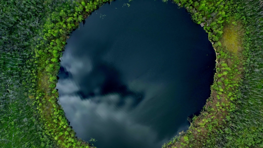 Top view aerial flight over small lake of perfectly round shape. Moving up, clear turquoise water of pond surrounded by trees and plants. Untouched nature on summer day
