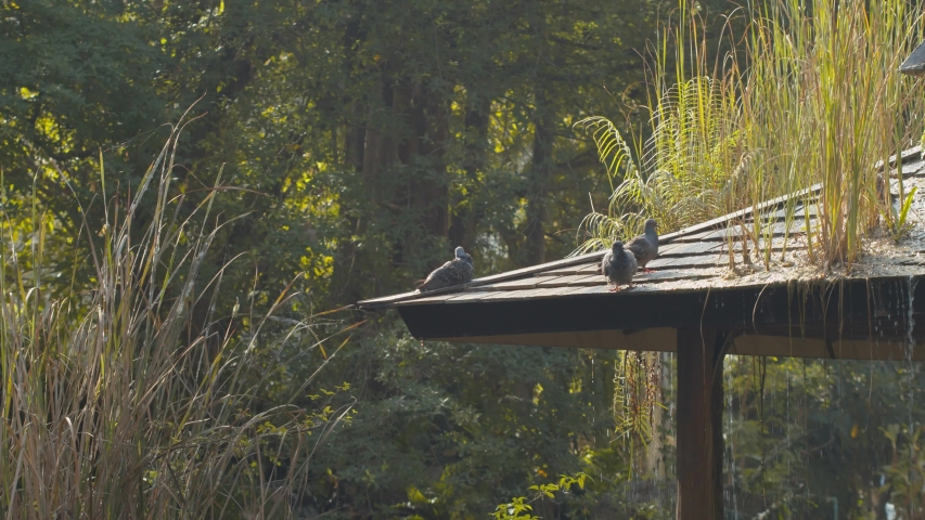 A tranquil setting in harmony with nature is this idyllic garden oasis where one can rest and meditate