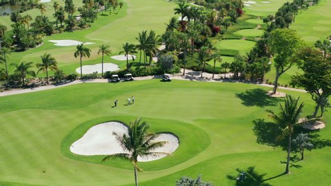 Cinematic overhead view on active men playing the golf game on a sunny summer day. Aerial footage of people on a golf course playing the sport match in Miami, Florida, USA. Background for business