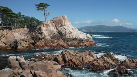 Beautiful California coast nature with lone cypress tree growing on the cliff. Waves crashing on sharp cliffs. 4K cinematic aerial view on scenic rocky shore at bright blue Pacific ocean, California