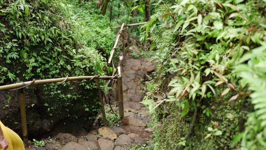 A young, attractive woman in a beautiful and relaxed outfit is walking down steps holding a handrail made out of natural bamboo. She walks down the stair and looks at the beautiful surrounding.