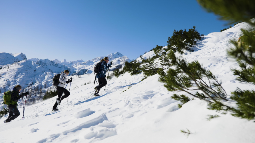 Group of climbers ascends to the snow-capped mountain in Alps