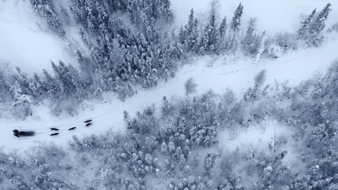 Aerial top down view of people dog sledding through remote wilderness