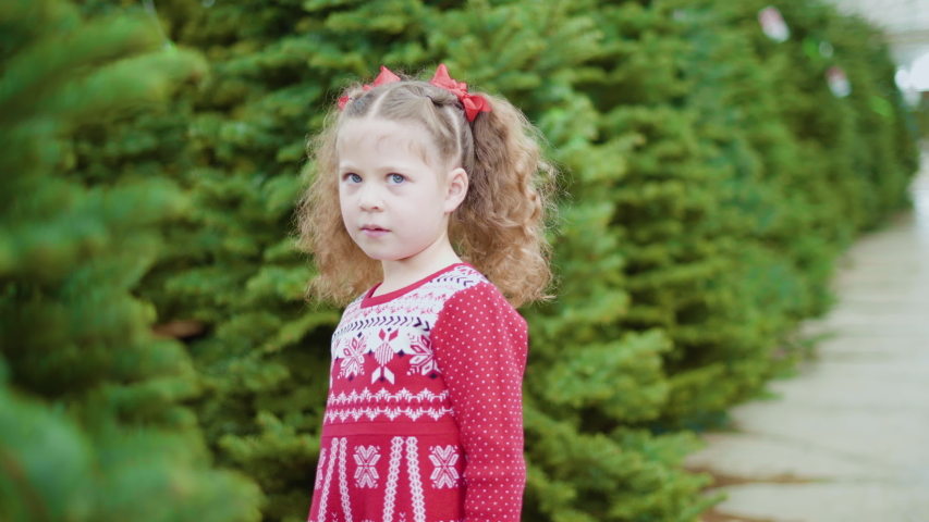 Little girl in red dress at the Christmas tree farm.