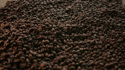 Examining roasted coffee beans from batch rotating on flat burlap. Human hand picking up a handful of product and scattering it in slow motion. Concept for authentic coffee manufacturing
