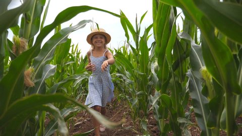 Close up of happy small child in straw hat running to the camera through corn field at overcast day. Beautiful cute girl with long blonde hair having fun while jogging over the maize plantation