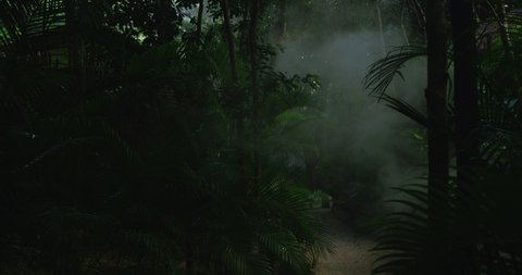 Mist drifts in lush green Mayan jungle revealing path, trees and palm trees