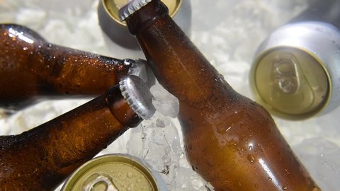 man hand picking beer bottle from ice bucket