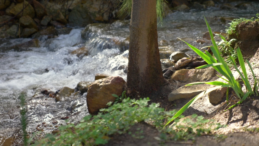 4k slow motion detail streaming water of river in Western Australia bushland at Whistlepipe Gully, Kalamunda