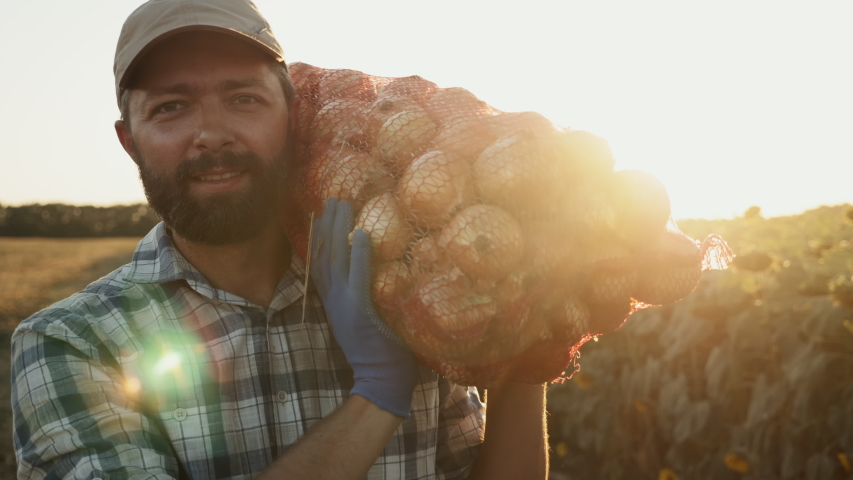 A satisfied farmer carries a mesh bag of onions on his shoulder while walking along the field at sunset. Harvesting Royalty-Free Stock Footage #1057074053