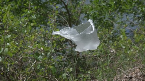 Plastic debris on the tree. A view of a polythene bag on the green bush in the park.