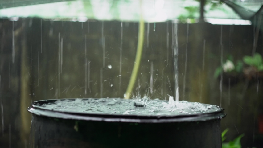 Heavy rain drops filling up rainwater harvesting barrel, closeup Royalty-Free Stock Footage #1057075547