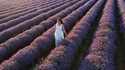 Young long-haired woman on lavender field covers her face with bouquet lavender flowers, smiles, stands happily against blue sky sunset in summer, enjoys nature slow motion drone back up. Aromatherapy