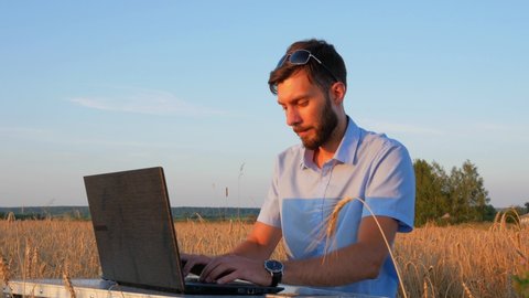 business men at remote work. A young man works for a laptop in a wheat field.