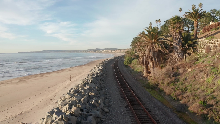 Birds flying along the coast