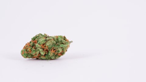 Close up of a medical marijuana bud falling on a white background shot in 4k super slow motion